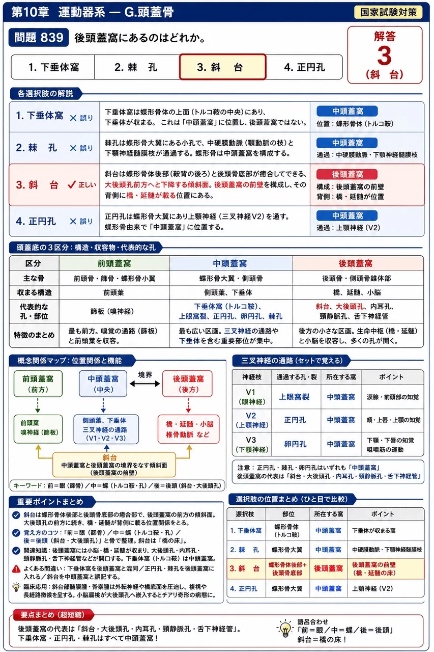 鍼灸 第27回(2019) 問題17｜後頭蓋窩にあるのはどれか。 解説図
