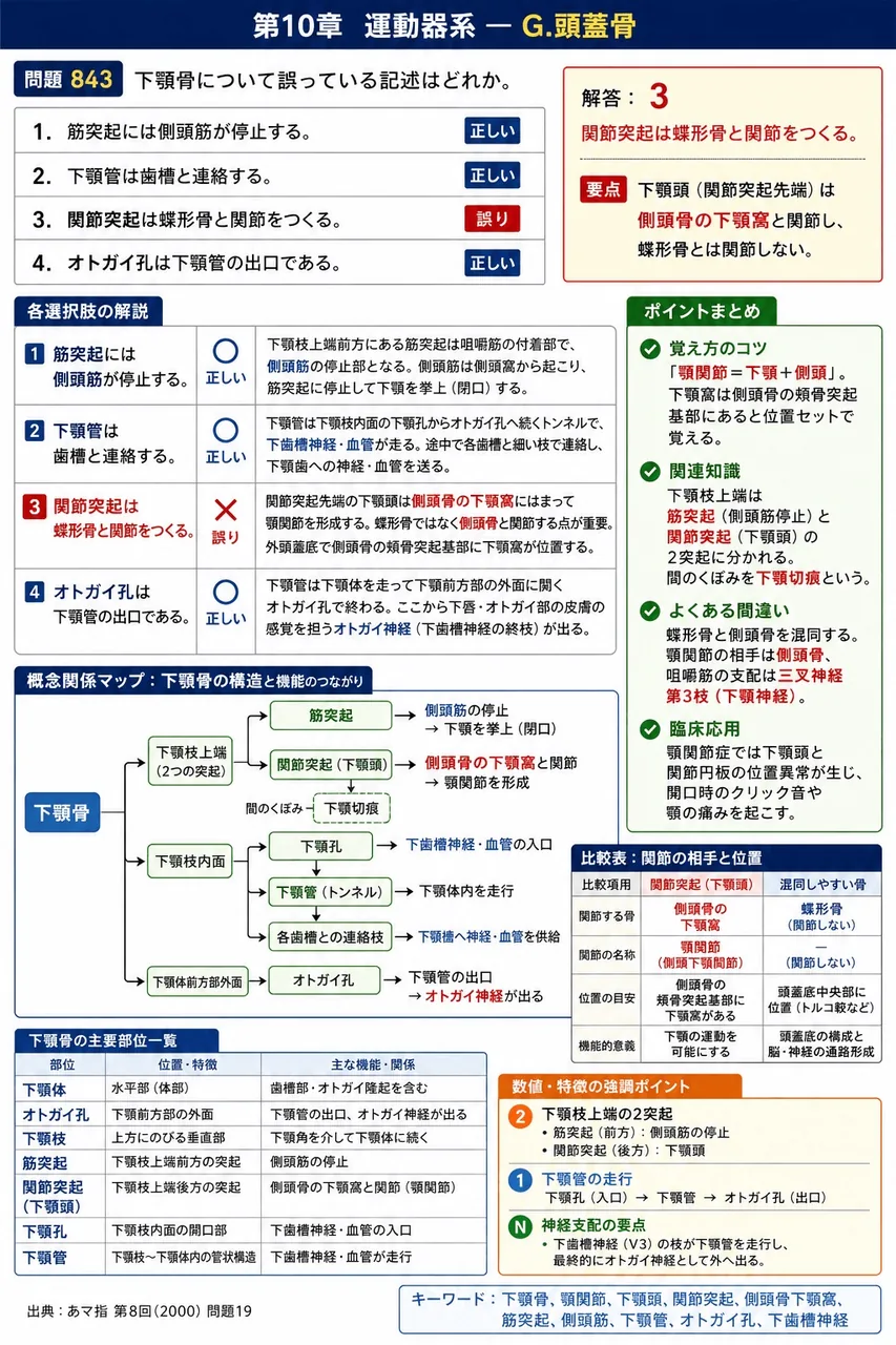 あマ指 第8回(2000) 問題19｜下顎骨について誤っている記述はどれか。 解説図