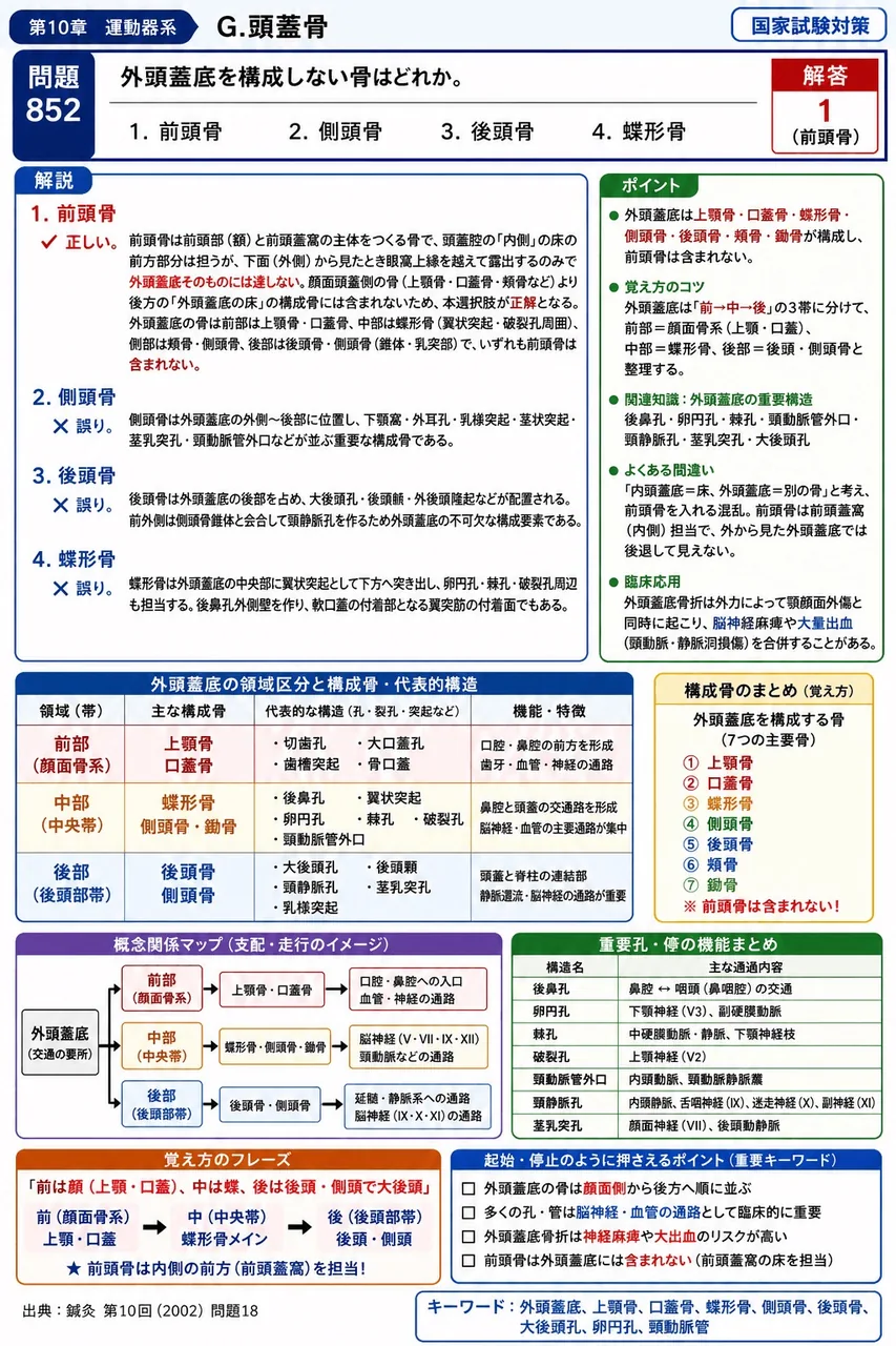 鍼灸 第10回(2002) 問題18｜外頭蓋底を構成しない骨はどれか。 解説図