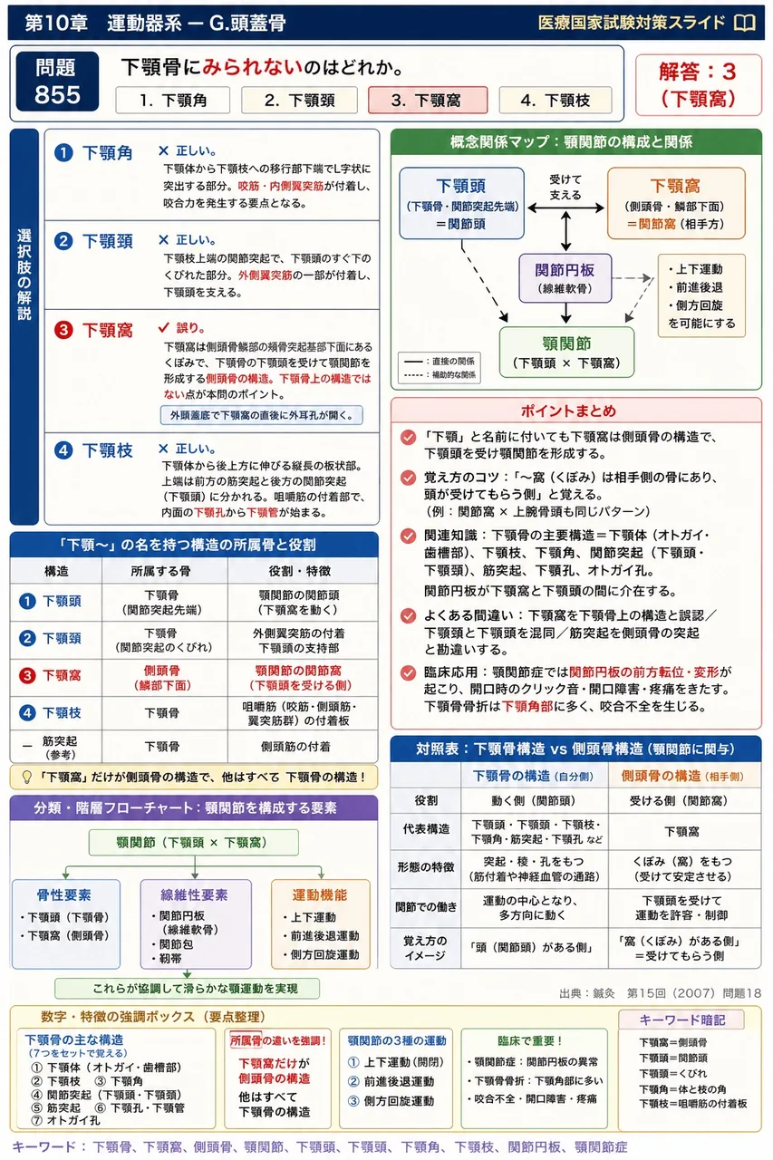鍼灸 第15回(2007) 問題18｜下顎骨にみられないのはどれか。 解説図