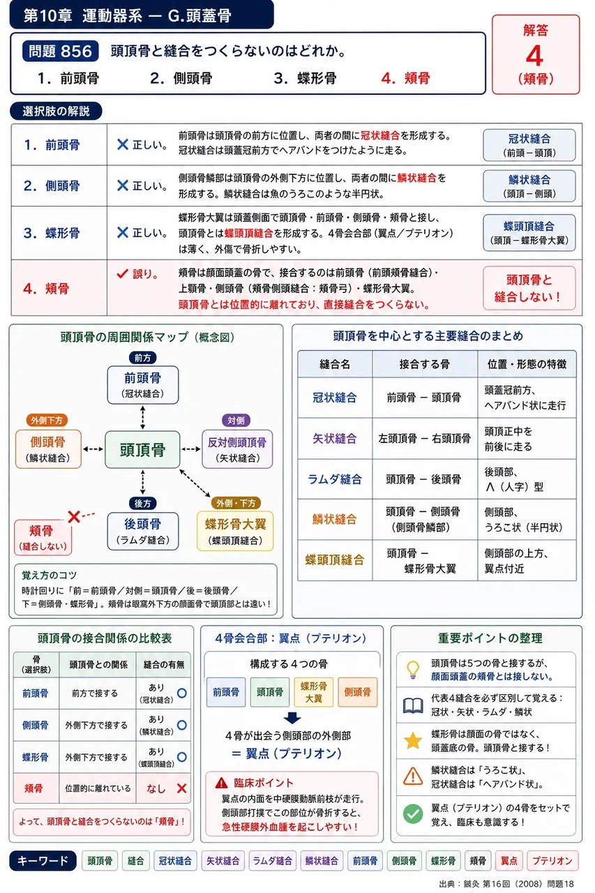 鍼灸 第16回(2008) 問題18｜頭頂骨と縫合をつくらないのはどれか。 解説図