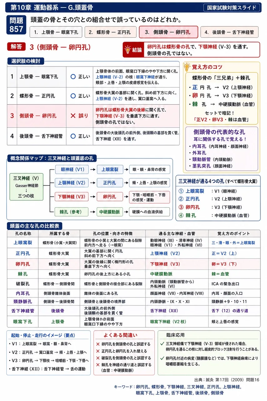 鍼灸 第17回(2009) 問題16｜頭蓋の骨とその穴との組合せで誤っているのはどれか。 解説図