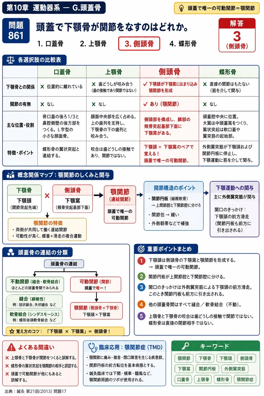 鍼灸 第21回(2013) 問題17｜頭蓋で下顎骨が関節をなすのはどれか。 解説図