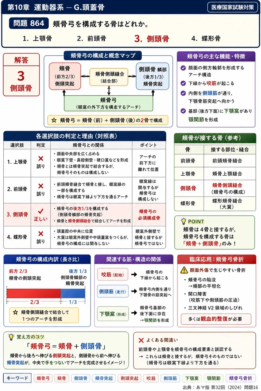 あマ指 第32回(2024) 問題16｜頬骨弓を構成する骨はどれか。 解説図