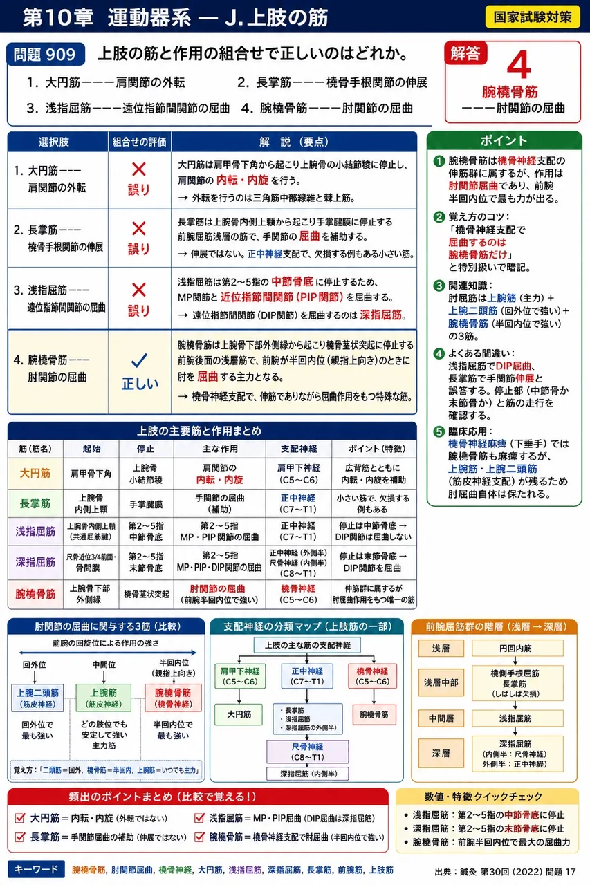 鍼灸 第30回(2022) 問題17｜上肢の筋と作用の組合せで正しいのはどれか。 解説図