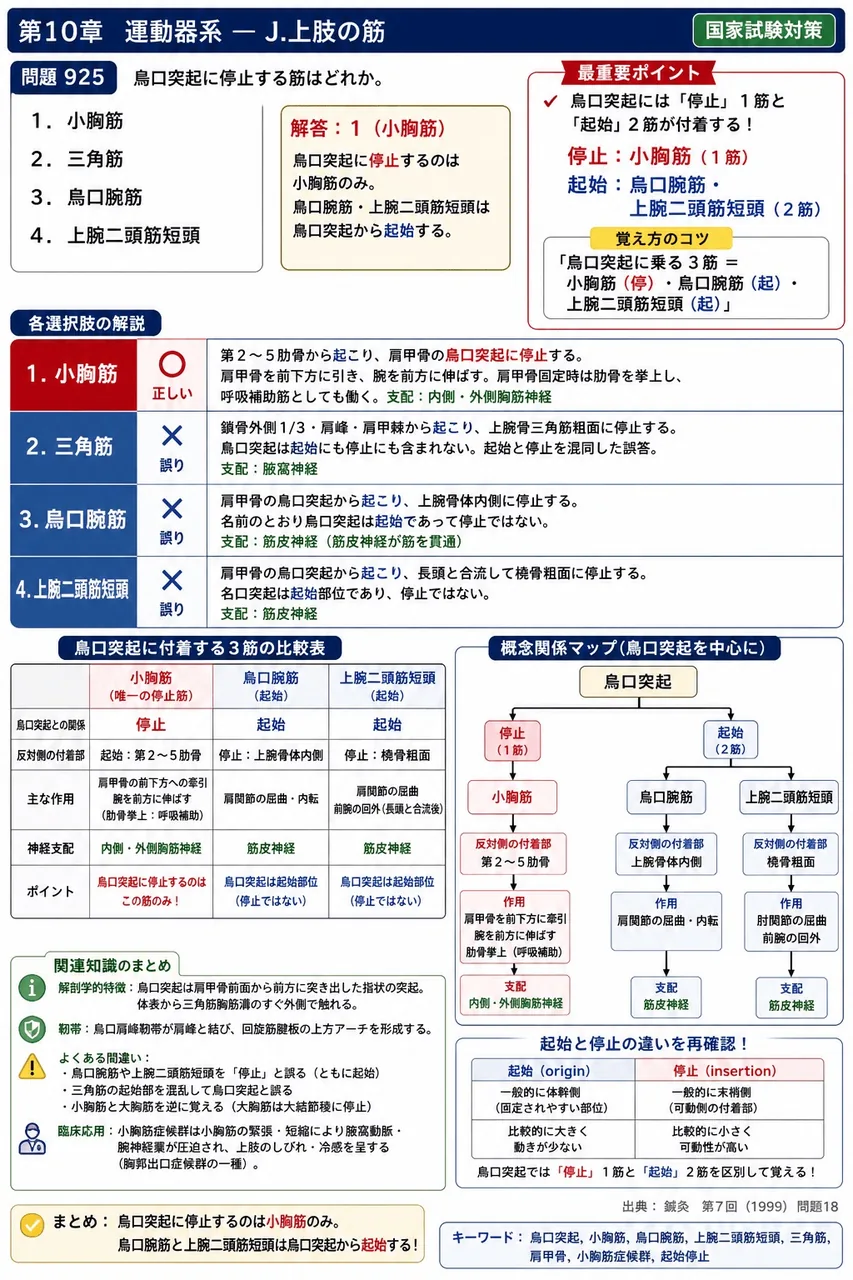 鍼灸 第7回(1999) 問題18｜烏口突起に停止する筋はどれか。 解説図