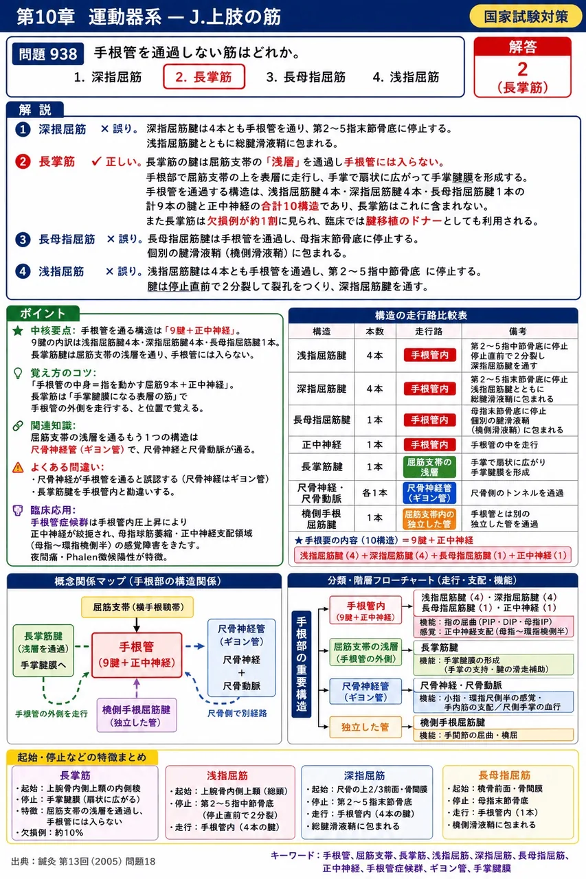鍼灸 第13回(2005) 問題18|手根管を通過しない筋はどれか。 解説図