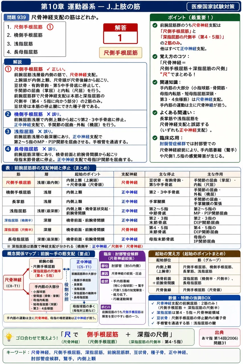 あマ指 第14回(2006) 問題31｜尺骨神経支配の筋はどれか。 解説図