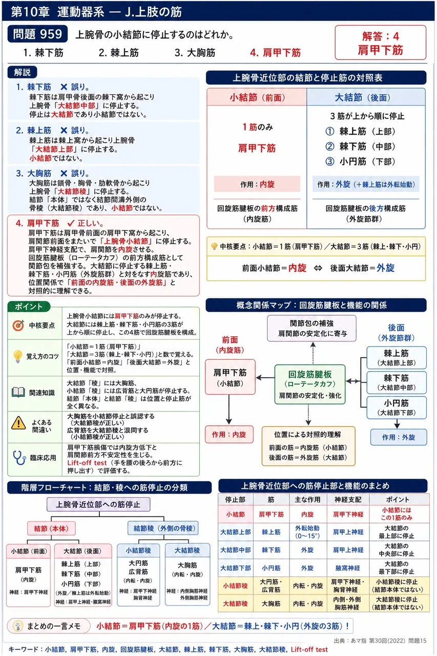 あマ指 第30回(2022) 問題15｜上腕骨の小結節に停止するのはどれか。 解説図