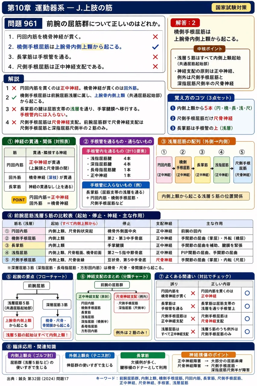 鍼灸 第32回(2024) 問題17|前腕の屈筋群について正しいのはどれか。 解説図