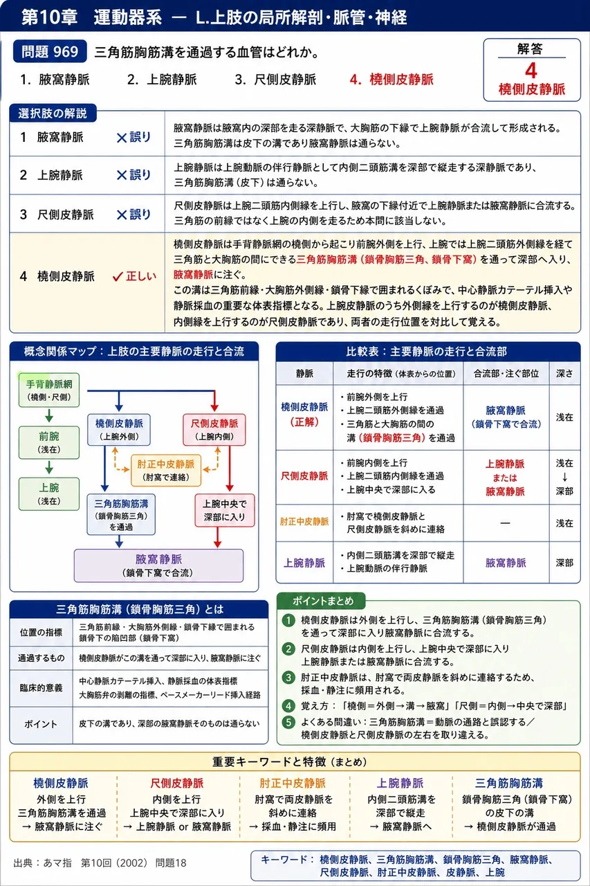 あマ指 第10回(2002) 問題18｜三角筋胸筋溝を通過する血管はどれか。 解説図