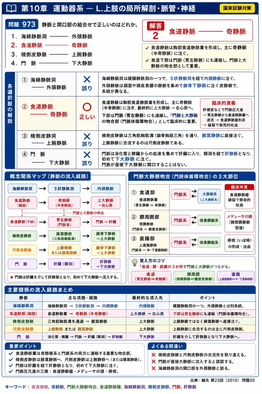 鍼灸 第23回(2015) 問題20|静脈と開口部の組合せで正しいのはどれか。 解説図