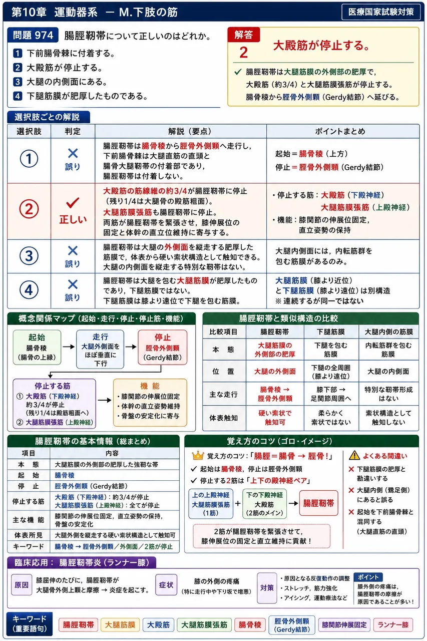 鍼灸 第22回(2014) 問題20｜腸脛靭帯について正しいのはどれか。 解説図