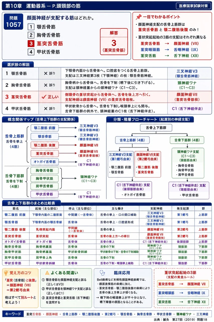 鍼灸 第27回(2019) 問題18｜顔面神経が支配する筋はどれか。 解説図