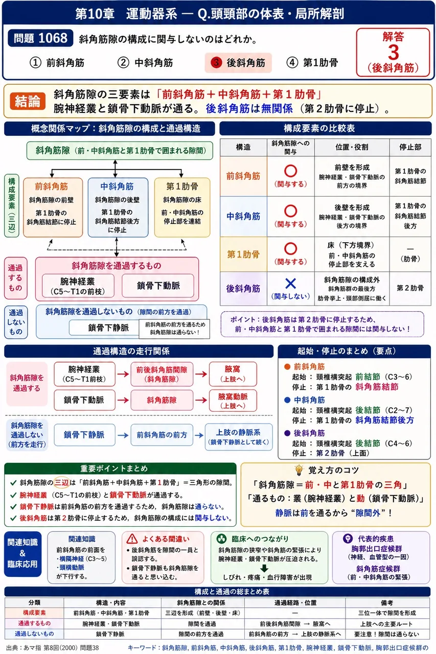 あマ指 第8回(2000) 問題38｜斜角筋隙の構成に関与しないのはどれか。 解説図