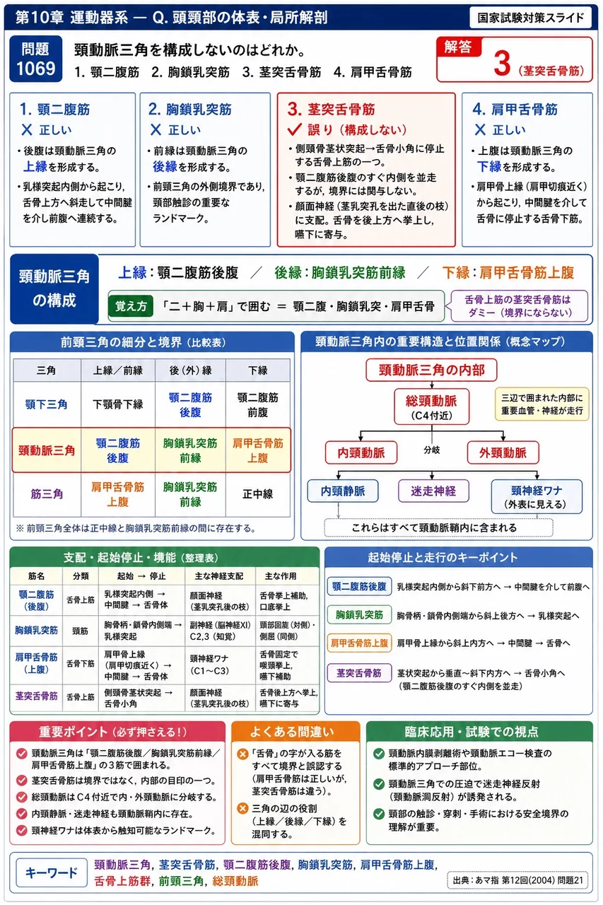 あマ指 第12回(2004) 問題21｜頸動脈三角を構成しないのはどれか。 解説図