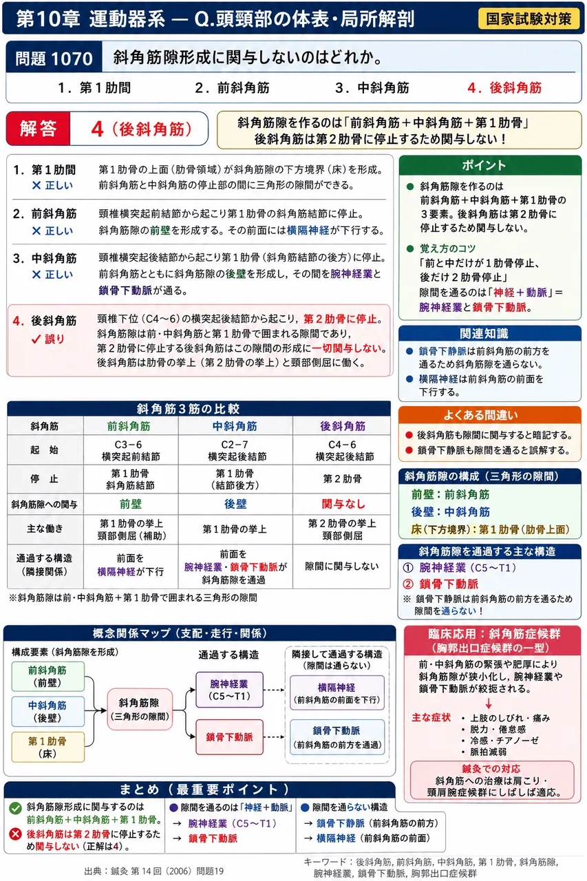 鍼灸 第14回(2006) 問題19｜斜角筋隙形成に関与しないのはどれか。 解説図