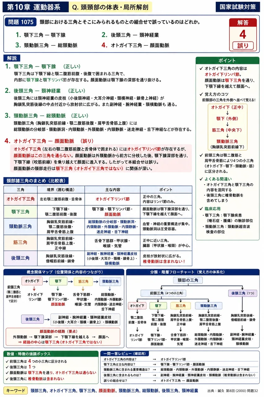 鍼灸 第8回(2000) 問題32｜頸部における三角とそこにみられるものとの組合せで誤っているのはどれか。 解説図