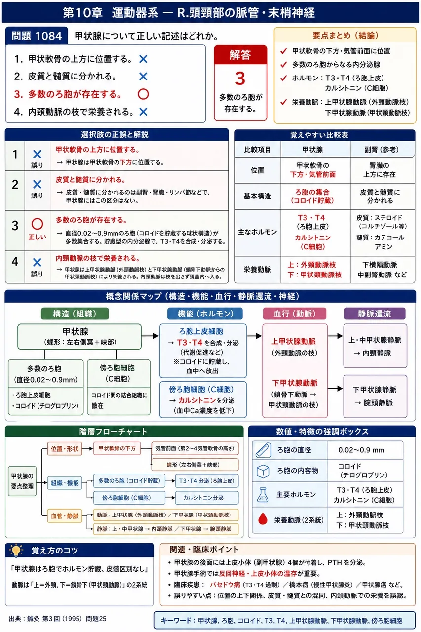 鍼灸 第3回(1995) 問題25｜甲状腺について正しい記述はどれか。 解説図