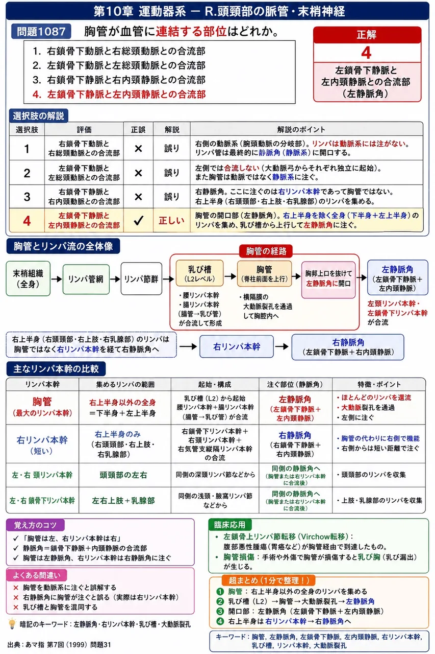 あマ指 第7回(1999) 問題31｜胸管が血管に連結する部位はどれか。 解説図