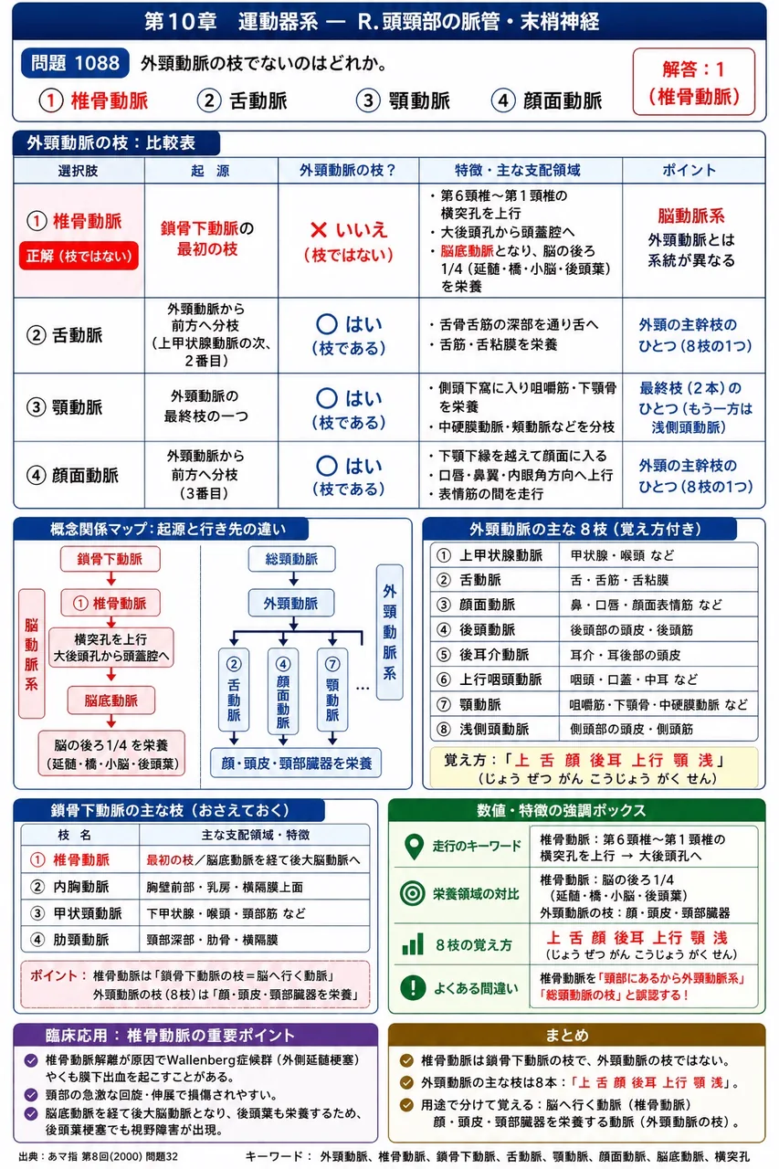 あマ指 第8回(2000) 問題32｜外頸動脈の枝でないのはどれか。 解説図
