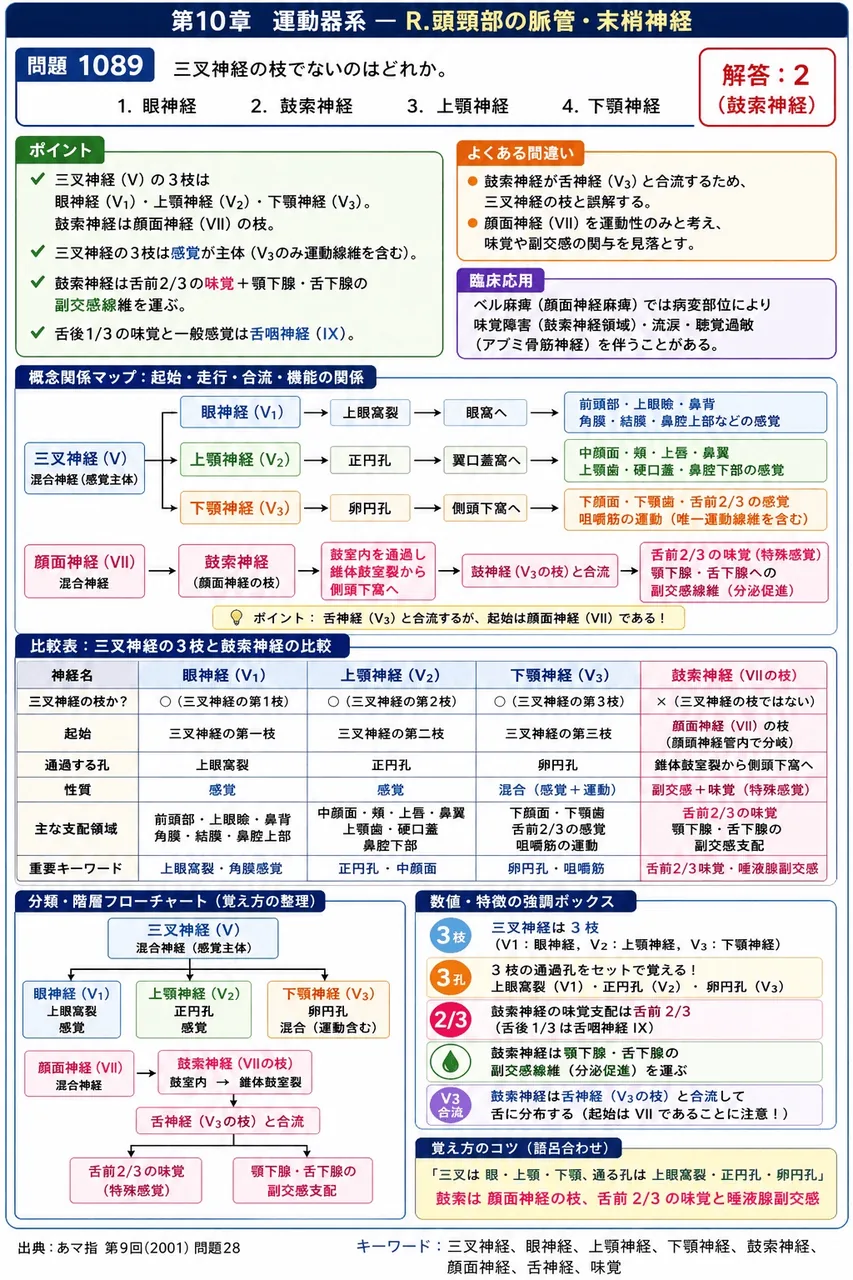 あマ指 第9回(2001) 問題28|三叉神経の枝でないのはどれか。 解説図
