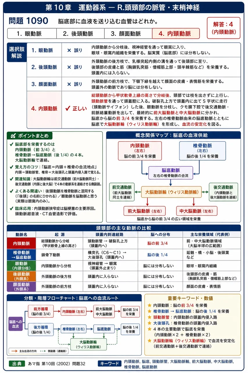 あマ指 第10回(2002) 問題32｜脳底部に血液を送り込む血管はどれか。 解説図