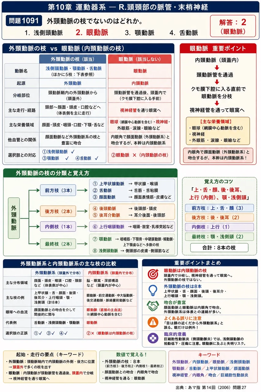 あマ指 第14回(2006) 問題27｜外頸動脈の枝でないのはどれか。 解説図