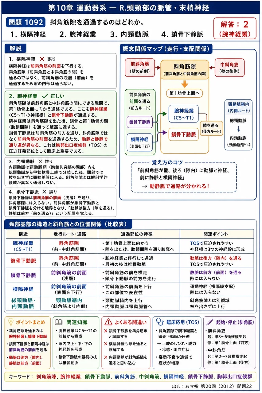あマ指 第20回(2012) 問題22｜斜角筋隙を通過するのはどれか。 解説図