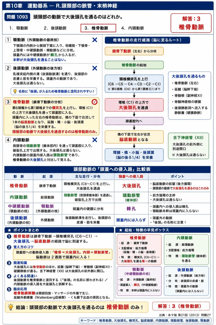 あマ指 第21回(2013) 問題27｜頭頸部の動脈で大後頭孔を通るのはどれか。 解説図