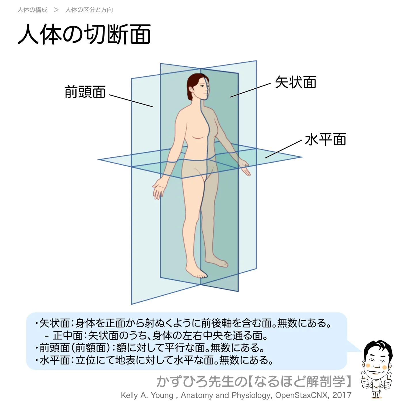 切断面