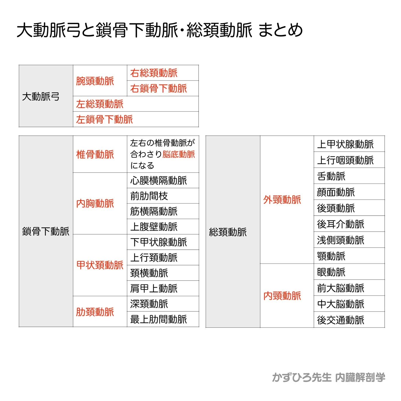 大動脈弓と鎖骨下動脈・総頚動脈-まとめ