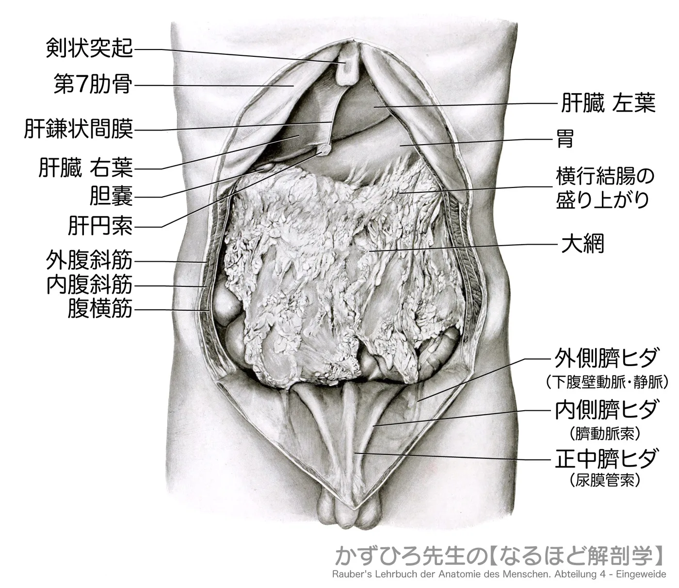 大網
