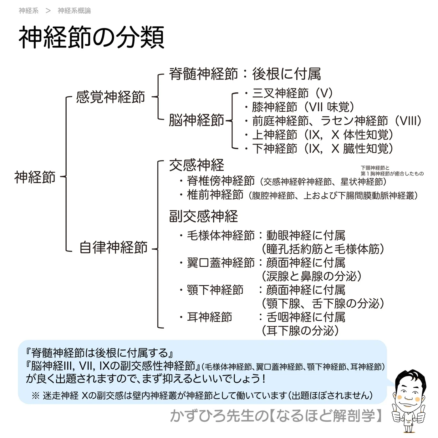 神経節の分類