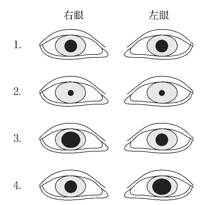 図