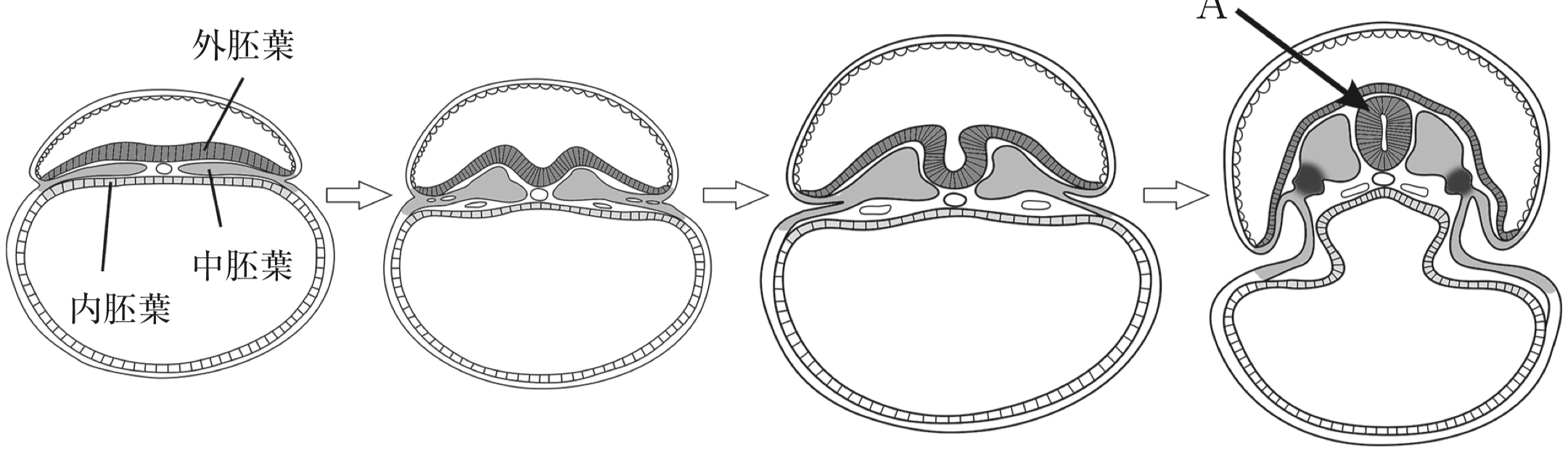 図