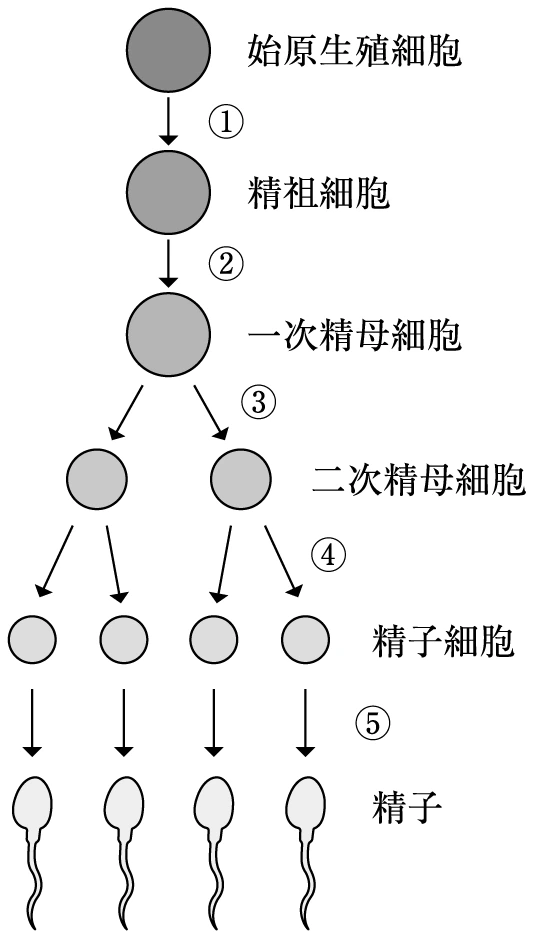 図