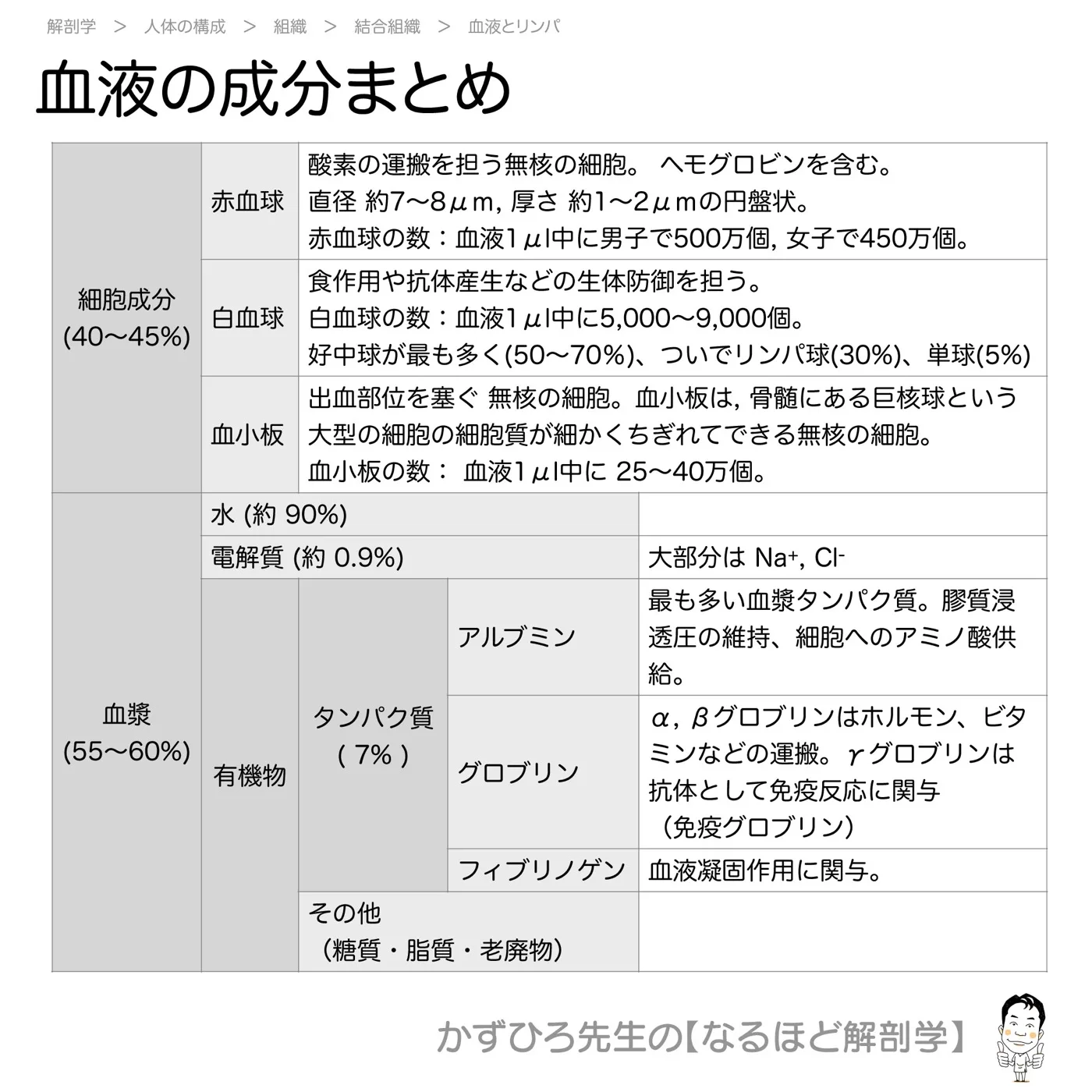 血液の成分まとめ