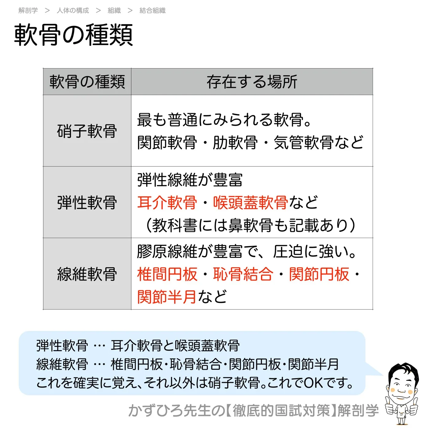 軟骨組織の種類