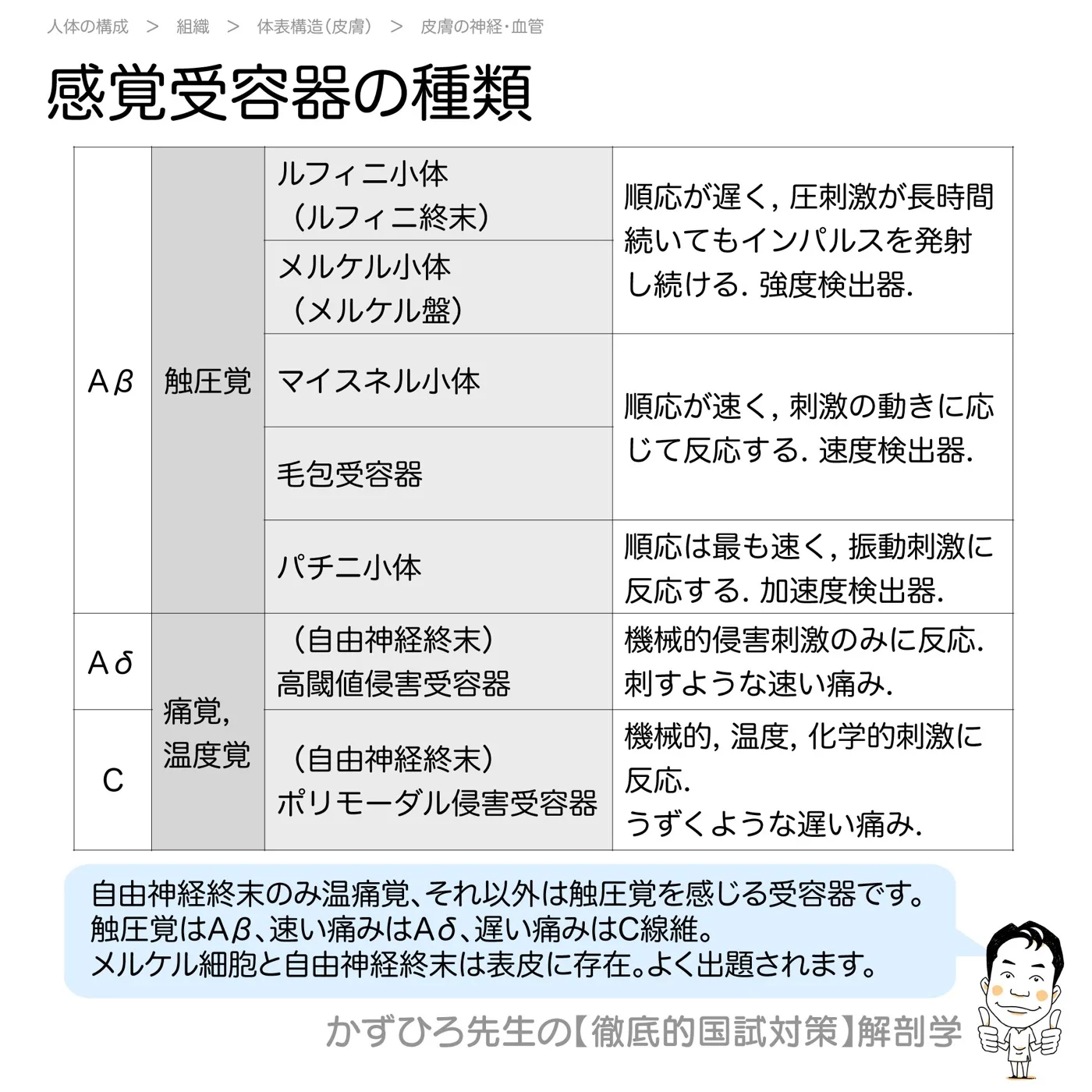 感覚受容器の種類