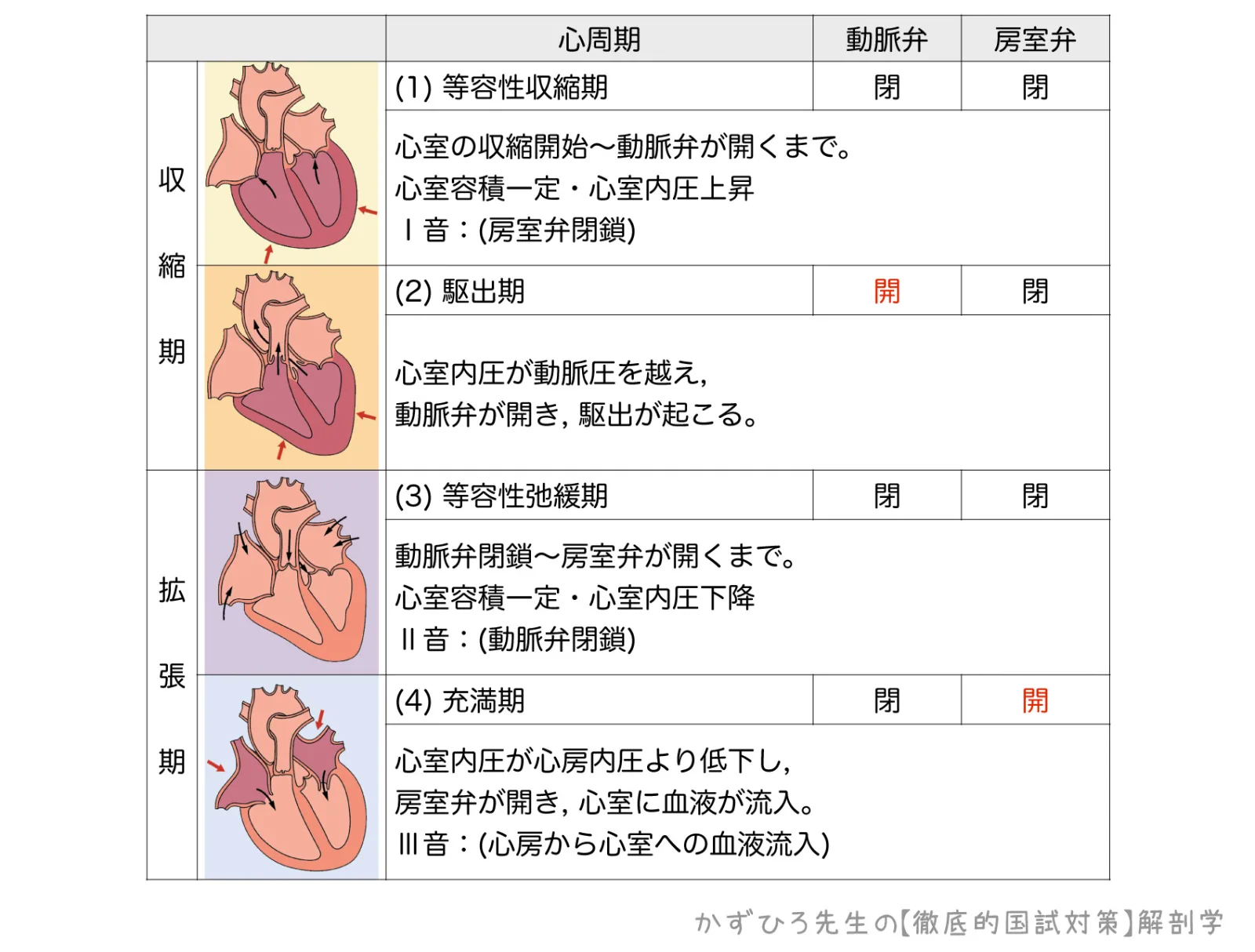 心周期2