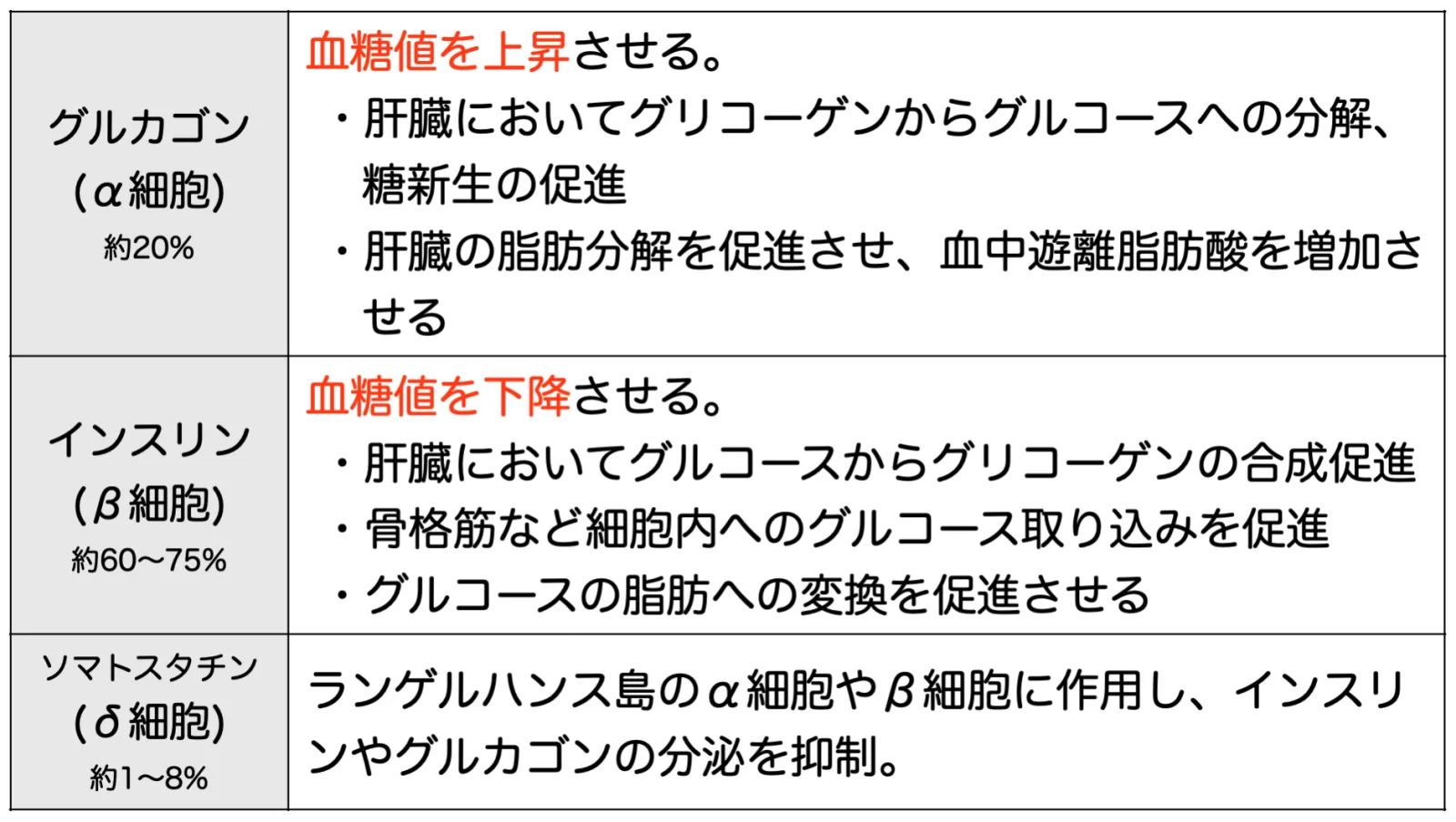 膵臓 内分泌の働き