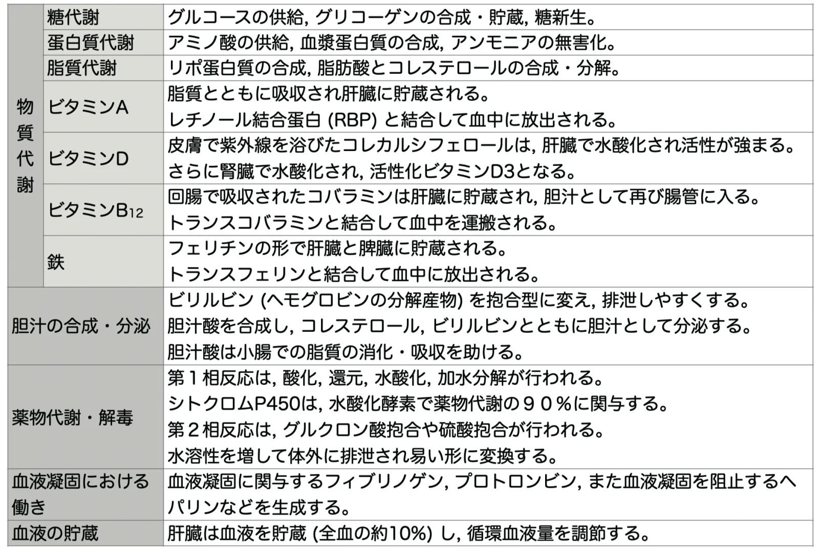 肝臓の機能まとめ