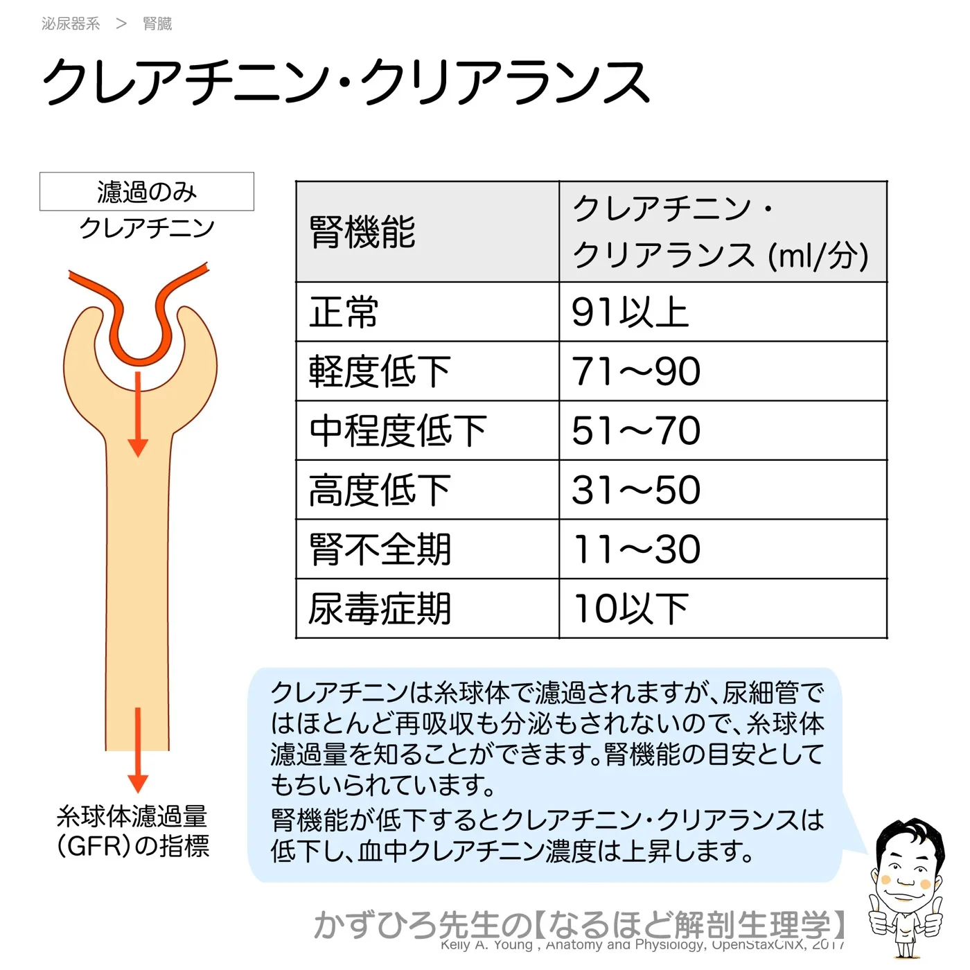 クレアチニン・クリアランス