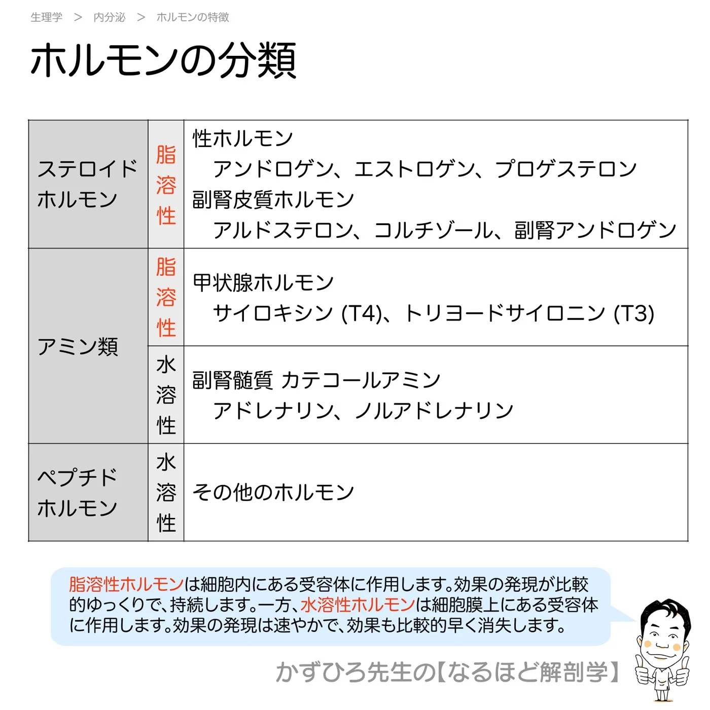 内分泌系-ホルモンの分類