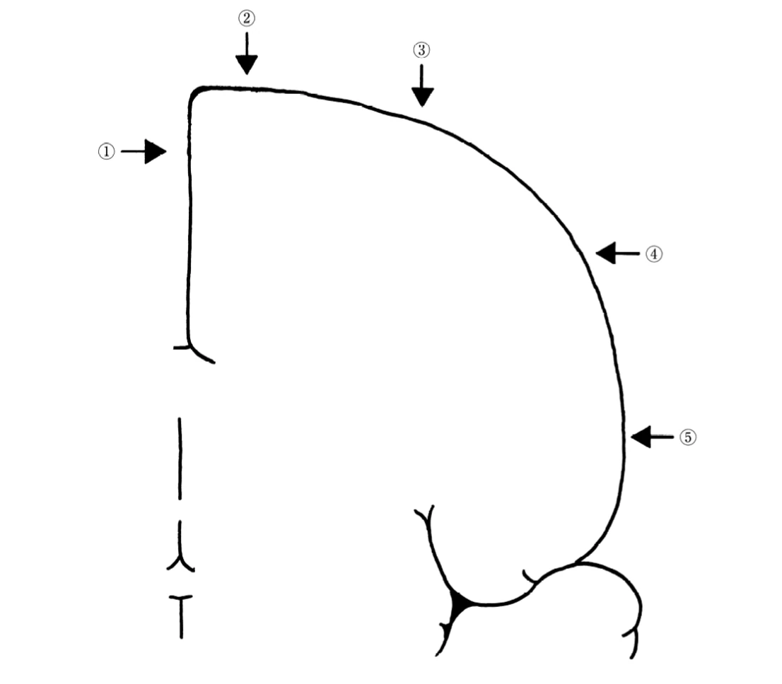 図