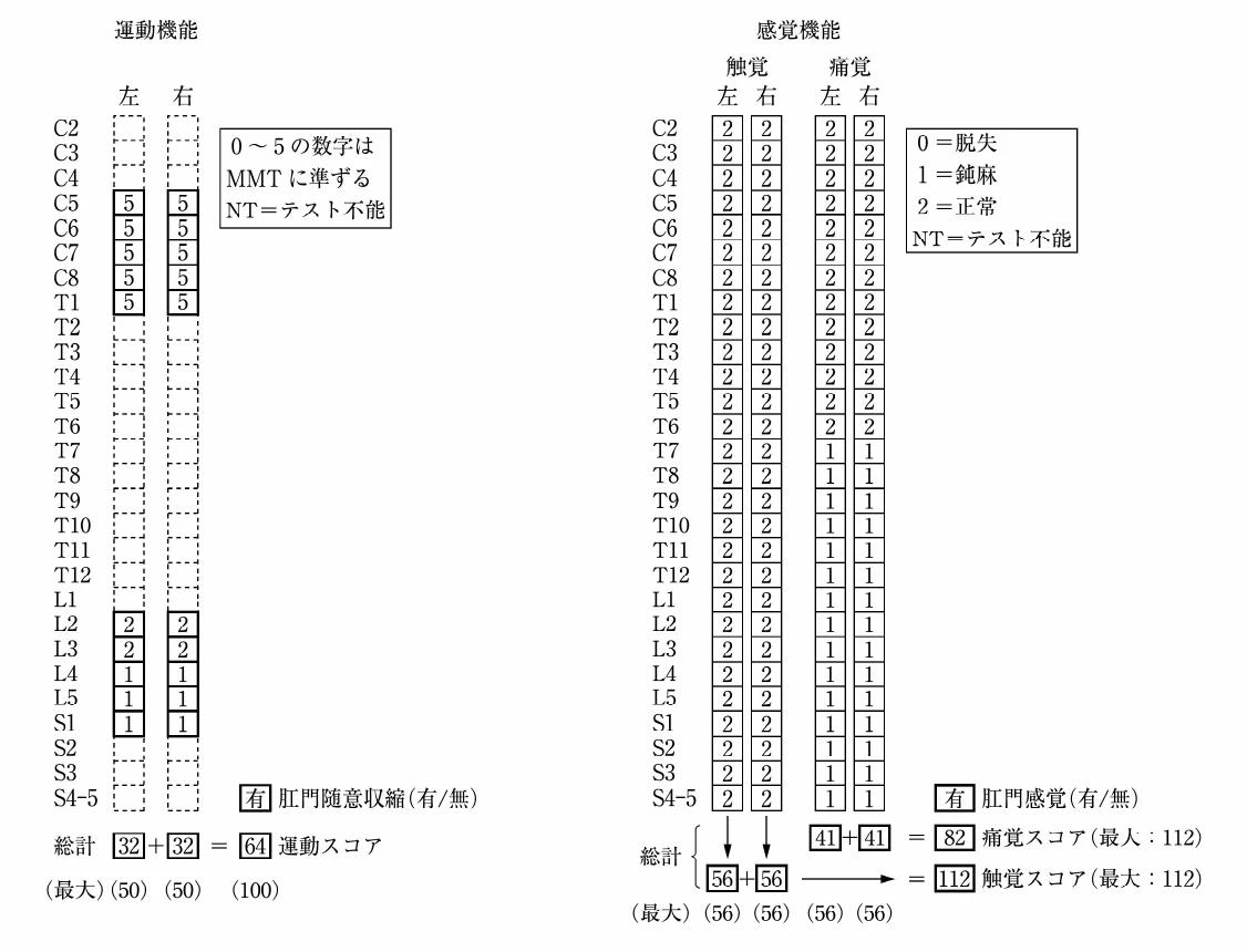 図