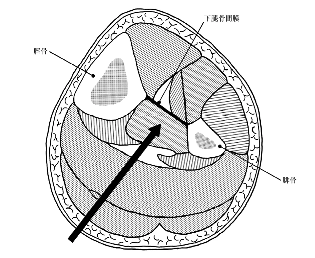 図