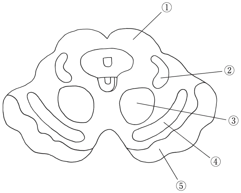 図
