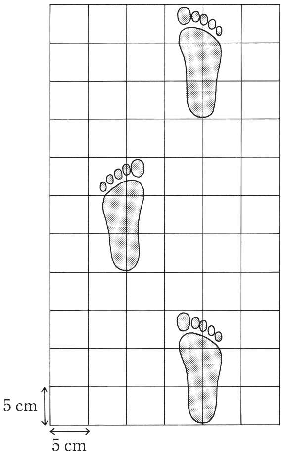 図